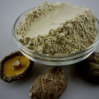 Pure Duan-Wood Shiitake Mushroom/Pure Wild Lentinus Edodes Powder 500g