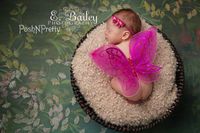 Fairy Glitter Butterfly Wings, Newborn, Baby, Photography prop Hotpink Color