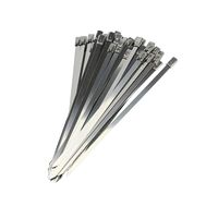 SaferCCTV 3/16"x 6" Stainless Steel Cable Ties Zip Ties,Self-Locking, Pack of 100
