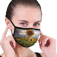 Mouth Masks for Dust Protection Anti Face Mask Washable Earloop Mask