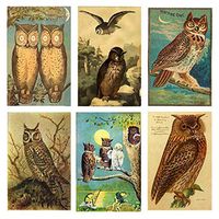 Decorative Set of 6 Owl Mini Matchboxes Candle and Fireplace Wood Matches, 2.188 x 1.5 x .5" Strike-On Side of Box,