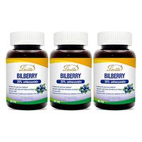 Lovita Bilberry Extract 6000mg, 100:1 Extract, 25% anthocyanidins, 60 Capsules (Pack of 3)