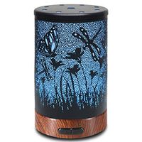 Metal Aromatherapy Ultrasonic Cool Mist Aroma Essential Oil Diffuser, Whisper Quiet Humidifier, Waterless Auto Shut-Off, 7-Color Changed LED for Home Office Yoga SPA 100ml (Floral Scent))