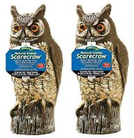 Dalen 016069000301 OW6 Gardeneer by Natural Enemy Scarecrow Horned Owl (Тwo Рack)