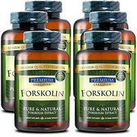 100% Pure Forskolin Premium Extract - 20% Coleus Forskohlii - Natural Weight Loss, Fat Burner and Belly Buster - 360 Veg Capsules (6 Months Supply)