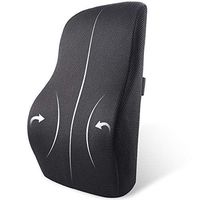 HANXIAODONG Memory Foam Lumbar Support Back Cushion Lumbar Support Pillow Back Cushion Memory Foam Orthopedic Backrest for Car Seat Office Computer Chair (Color : Net)