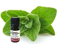 Oregano 100% Pure Essential Oil 50ml