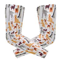 Labrador Dog Golden Unisex Arm Sleeve UV Protection Arm Compression Sleeve Skin Protection Sport Arm Cooler Sleeve for Running Hiking Jogging Motorcycling Climbing Camping