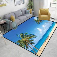 Hawaiian Humorous Area Rug Kitchen, Windy Exotic Island with Tropical Trees Calm Beachy Theme Ocean Photography Print, Durable Carpet Area rug - Living Room Bedroom Rugs and Carpets(3'x 8')