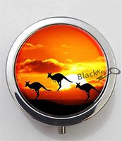 BlackKey Kangaroo 3-Compartment Decorative Pocket Gift Box Case Organizer for Pill, Color 1 -2033