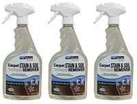 Shaw R2X Carpet Stain & Soil Remover 32 Ounces Spray (Тhrее Расk)