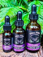 Usnea Spaggyric Tincture (2 oz)