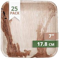 CaterEco Square Palm Leaf  Plates Set (Pack of 25) | Salad Plates | Ecofriendly Disposable Dinnerware | Heavy Duty Biodegradable Party Utensils for Wedding, Camping & More