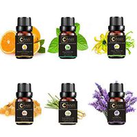 essential oils gift sets pure aromatherapy kit starter pack therapeutic oil diffuser grade aroma lemongrass lemon relaxation aromas natural skin humidifiers