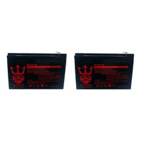 Sola X-11 12V 12Ah Replacement Electric Scooter Battery by Neptune - 2 Pack