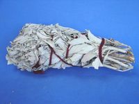 Big Bundle of California White Sage to Clean Environment for New Age Products (Approx 8" in length)
