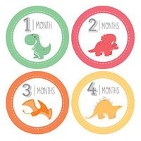 Pinkie Penguin Dinosaur Baby Monthly Stickers - Milestone Onesie Stickers - 1-12 Months