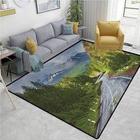 YucouHome Woodland Floral Area Rug Soft, Mountain Landscape Road Cloudy Sky Pine Trees Forest Summer Rainy Day Scene, Durable Rugs - Living, Dinning, Office, Rooms & Bedrrom, Hallway Carpet(6'x 9')