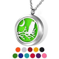HOUSWEETY Aromatherapy Essential Oil Diffuser Necklace-Owl Stainless Steel Locket Pendant,11 Refill Pads(Engraving)
