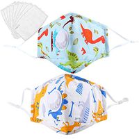 Zoylink 2PCS Kids Mouth Mask Cotton Breathable Anti-Dust Mask with 40PCS Filter Pads