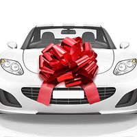 Mata1 Big Car Bow (Shiny Red, 18 inch, 1 Pack), Giant Gift Bows, Big Bow for Car, Gift Bow, Big Red Bow, Large Car Bow, Big Gift Bow, Car Pull Bow, New Car Bow, Huge Car Bows, Car Ribbon Bows