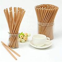 Paper Drinking Straws | 100pcs Straws Made From Paper | Biodegradable & Recyclable | 0 Plastic Waste