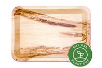 14" Rectangle Palm Leaf Serving Trays Platters - Pack of 5 - Disposable, Compostable, Natural, Tree Free, Sustainable, Eco-Friendly - Fancy Rustic Party Dinnerware and Utensils Like Wood, Bamboo