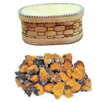 Wild Harvested Organic Siberian Chaga Chunks (Inonotus Obliquus) 1 lbs / 450 gm Direct from Siberia with Siberian Birch Bark Storage Box