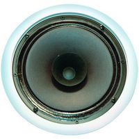 OEM Systems SC-800 8- Inch Full Range Speaker