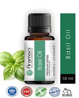 Basil Essential Oil - Pure and Natural Therapeutic Grade 10 ML
