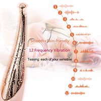 Powerful Clitorial stimulating 12 Vibration Pattern stimulating Toy for Female,can USB Rechargeable Waterproof G Spots masseger for Women Self Pleasure Secret Packing