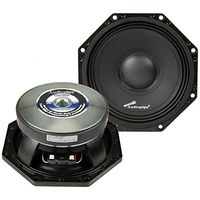 Audiopipe 8" Octo Speaker