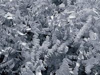 Gray Aqua Metal Pail Bucket Party Gift 5.5" with Crinkle Paper Shred