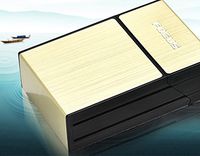 Fashion Automatic Stainless Steel USB Cigarette case with Lighter for 20 Regular Cigarettes Case with Lighter USB Rechargeable, Flameless, Windproof.