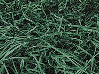 Green Veryfine Cut Paper Shred 10 lb Box ~ Spring-fillÂ Shred - WRAPS-SP10GN