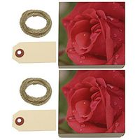 Rose Close-up Kraft Gift Boxes Set of 2