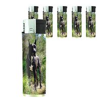 Dog Great Dane 02 Lighter Set of 5 Pieces