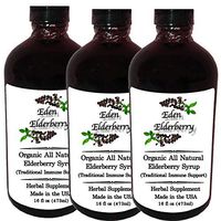 Eden Elderberry All Natural Syrup ~ Made with Raw Honey, Organic Elderberries and Spices ~ Packaged in an Amber Glass Bottle (Elderberry Syrup 16oz 3 Pack)