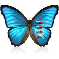 Herbal Ecstacy Peak Performance Supplement 100% Natural Formula (4 Capsule Pack)