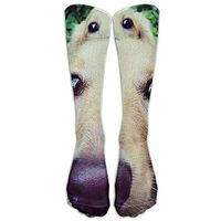 Golden Retriever Men Women Long Socks Stockings Novelty Tube Socks Fun Patterned Cotton Socks