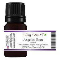 Angelica Root Absolute Essential Oil (Angelica Archangelica Lical) 100% Pure Therapeutic Grade - 5 ML