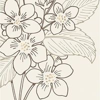 At Ease Traditional Foil Paper Luncheon Napkin Set of 20-7 x 7 Inches