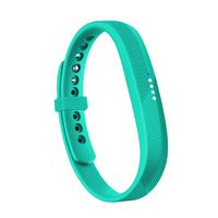 RedTaro Compatible with Fitbit Flex 2 Band, Replacement for Fitbit Flex 2 Accessories Silicon Wristbands w/Fastener Clasp Fitness Strap for Original Fitbit Flex 2, No Tracker (Mint Green, L)