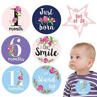 Baby Monthly Stickers,Floral Baby Milestone Stickers,Baby Girl Month Stickers,Newborn Girl Stickers,1st Year Birth Months Belly Decals,Best Shower Basket Present,Scrapbook Memory Registry Gift 24 pcs