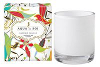 SOI Company The Aqua de SOi 100% Premium Natural Soy Candle, 11 Ounces Boxed Jar (Kashmir Vanille)