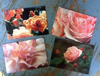 Roses Photo Cards - 4 Blank Cards and Envelopes - Gift