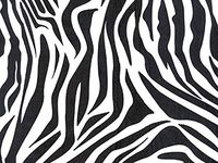 Animal Print Tissue Paper Zebra - 240 Sheets
