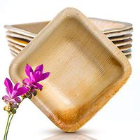 KIKI Green Palm Leaf Dip Bowls - 3 inch Biodegradable Small Square Plates Compostable Dinnerware set for party (25 Pack)