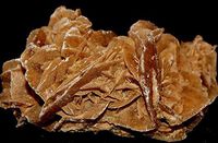 Desert Rose Gypsum Selenite Family Crystal DES1809