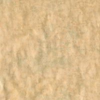 Entertaining with Caspari 9695RC Antique Gold Leaf Foil Continuous Roll of Gift Wrapping Paper, 8', 1-Roll, Multicolored